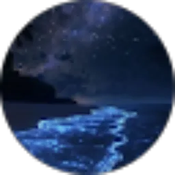 Review From Najma Nur Kamila (C.2310576)