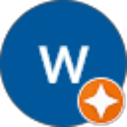 Review From wirzz yang
