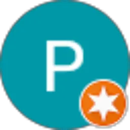 Review From Paulus Susanto