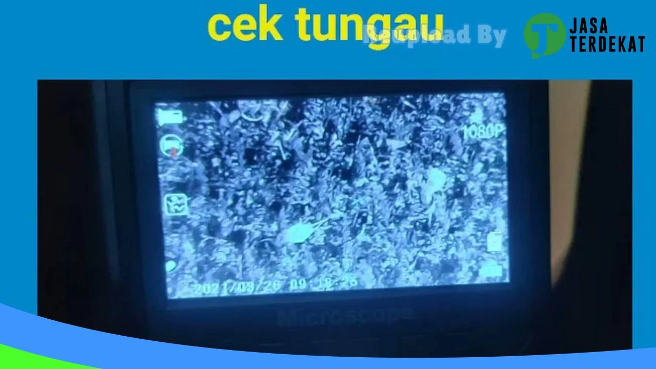 Gambar Superdidi Clean: Jasa Vacuum Tungau Debu & Jasa Cuci Kasur / Sofa di Pesawaran, Lampung ke 1