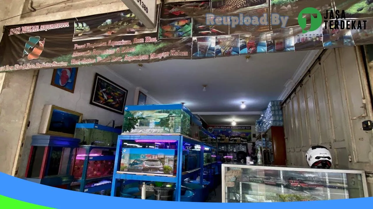 Gambar Jasa Mekar Aquarium di Cianjur, Jawa Barat ke 1