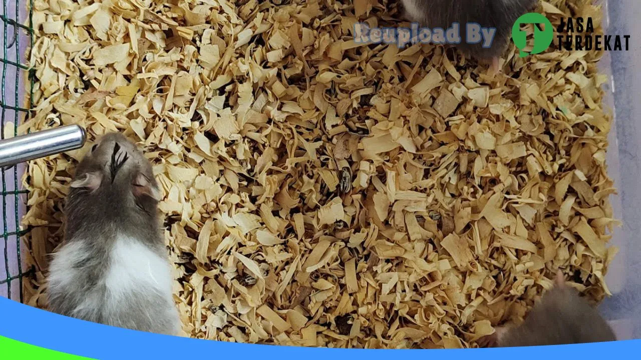 Gambar Hamster Shop di Hulu Sungai Tengah, Kalimantan Selatan ke 1