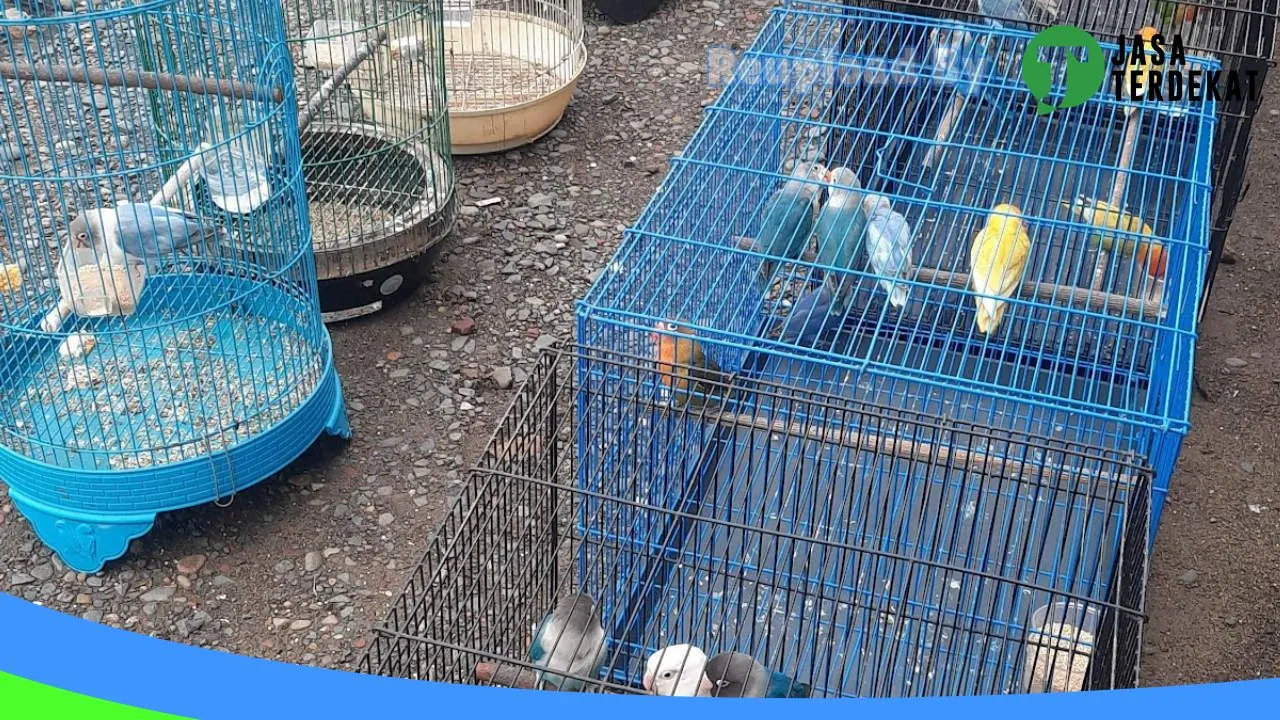 Gambar Kios burung nurrohman labib di Paser, Kalimantan Timur ke 3