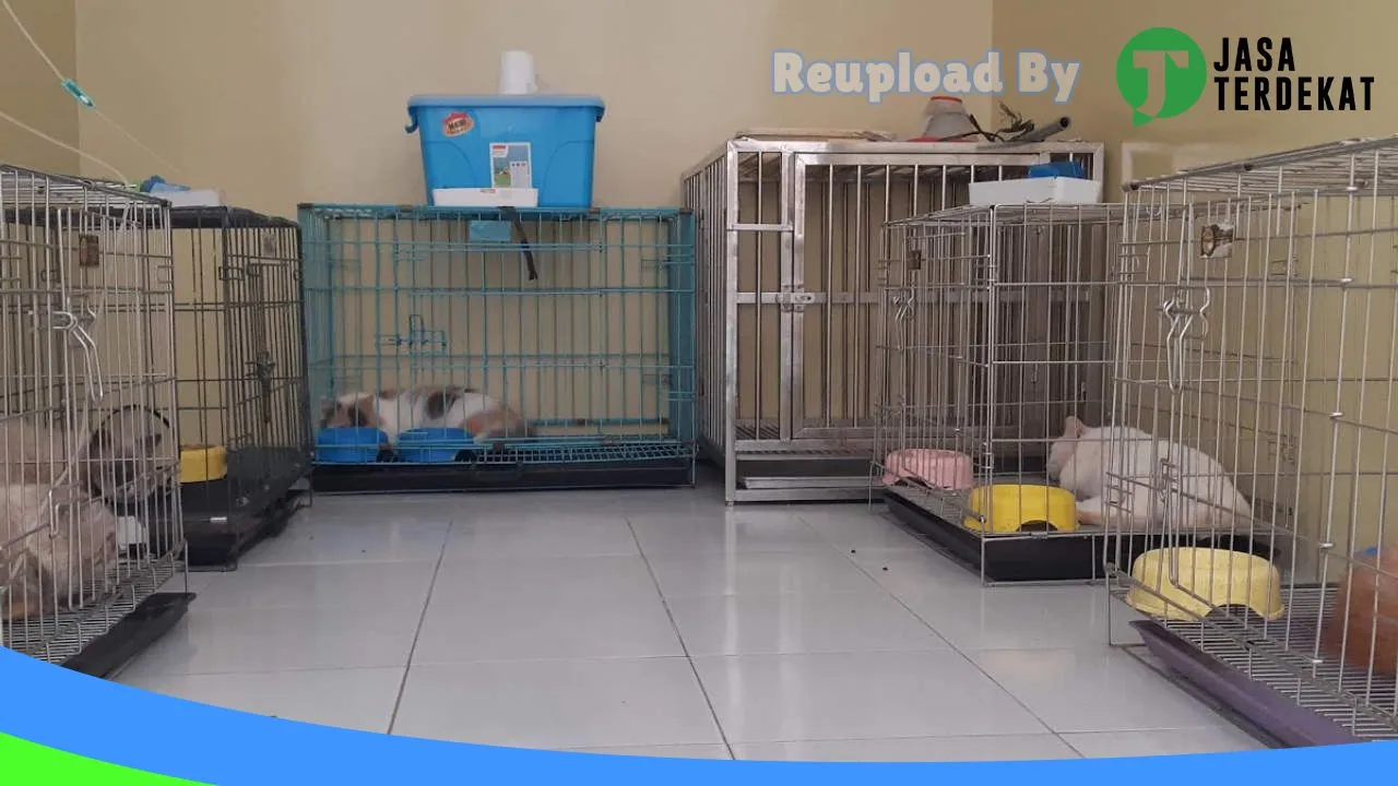 Gambar Klinik Hewan Mulya, Petshop, Salon Hewan di Kudus, Jawa Tengah ke 5