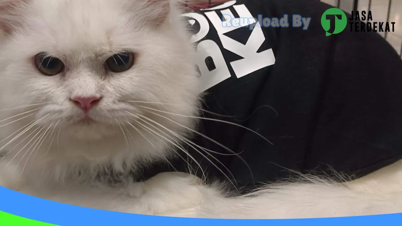 Gambar Papa Petshop Palembang di Palembang, Sumatera Selatan ke 5