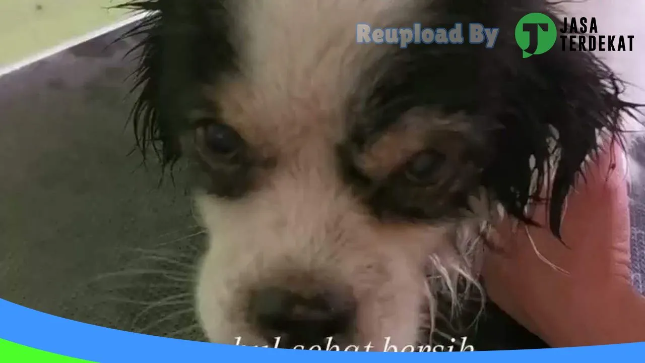 Gambar Wau Wau Petshop di Kota Palu, Sulawesi Tengah ke 1