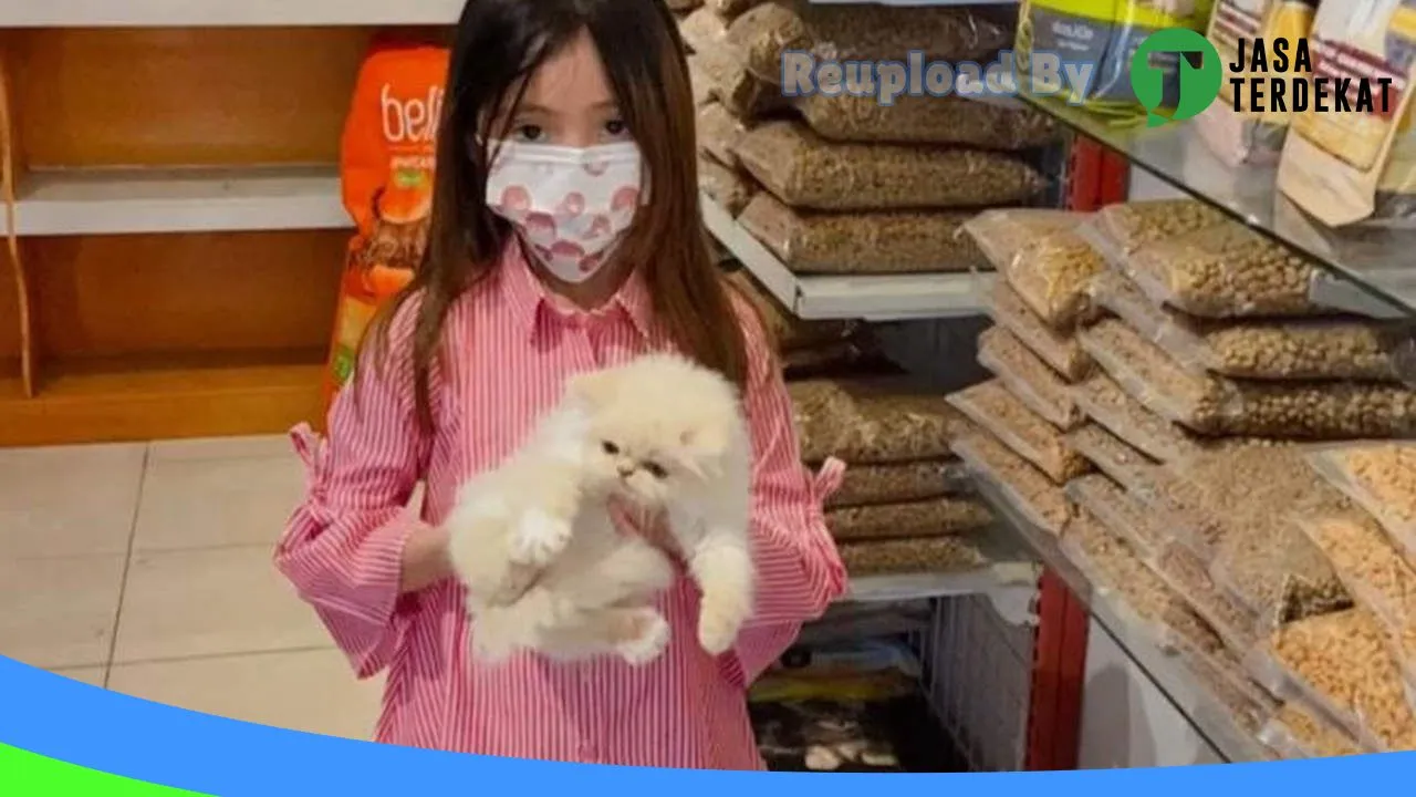 Gambar CAT ZONE PETSHOP di Rejang Lebong, Bengkulu ke 4