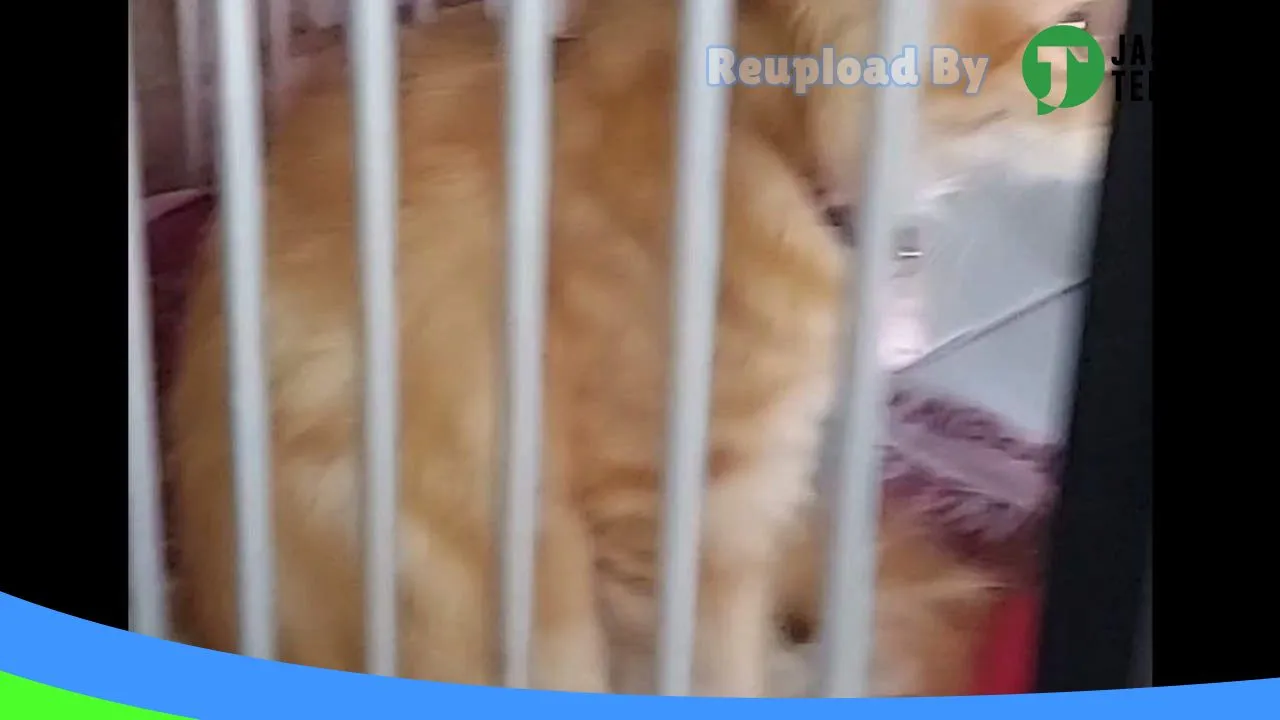 Gambar Wiyadi Petshop Jakarta di Jakarta Timur, DKI Jakarta ke 1