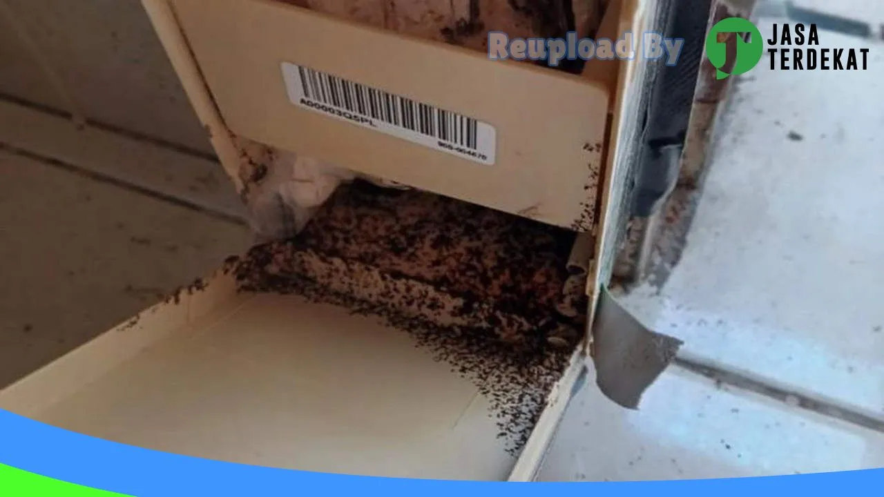 Gambar Anti Rayap di Pesisir Selatan, Sumatera Barat ke 3