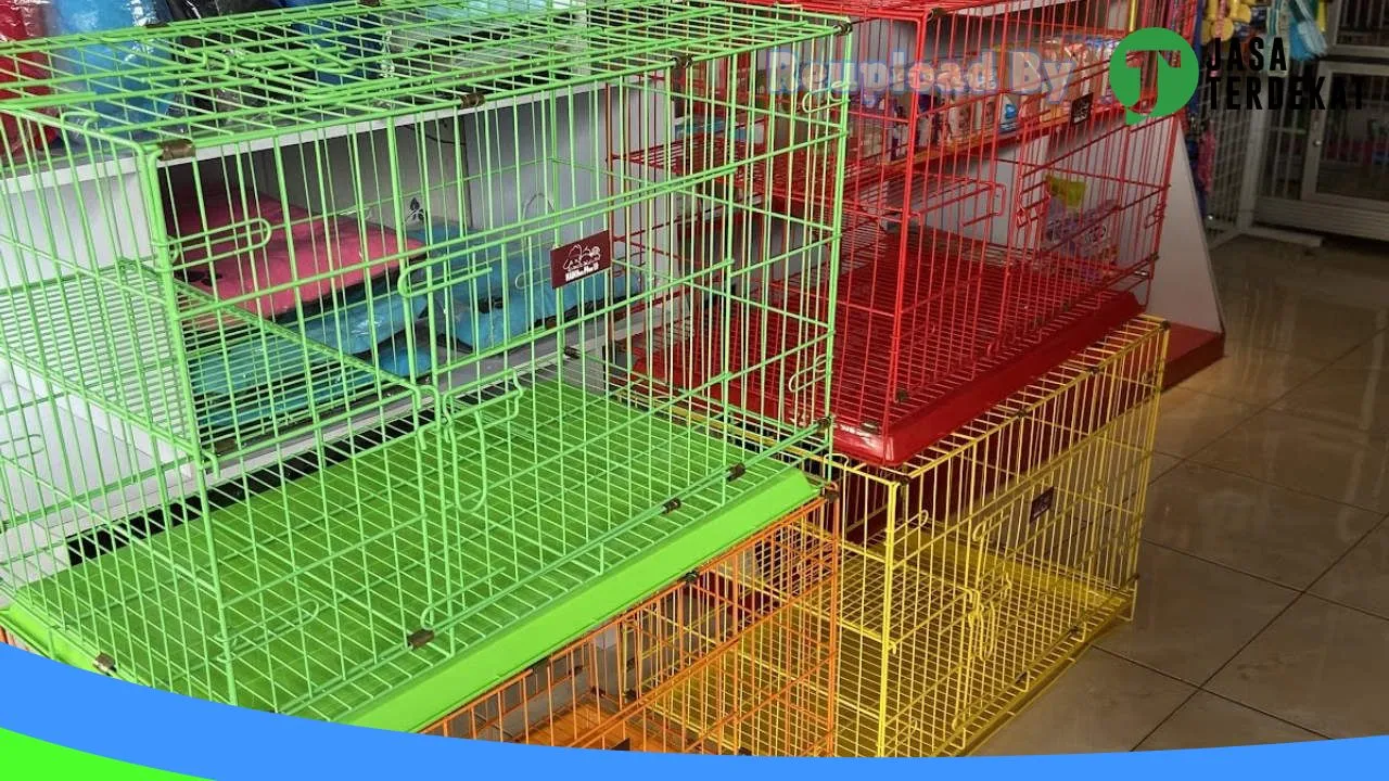 Gambar CAT ZONE PETSHOP di Rejang Lebong, Bengkulu ke 1