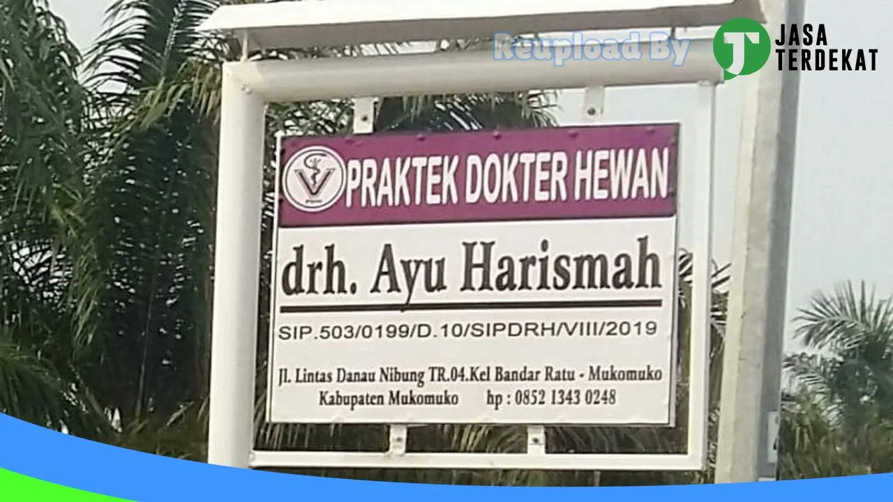 Gambar Zieyu Petshop & Praktek Dokter Hewan drh AYU HARISMAH di Muko-Muko, Bengkulu ke 2