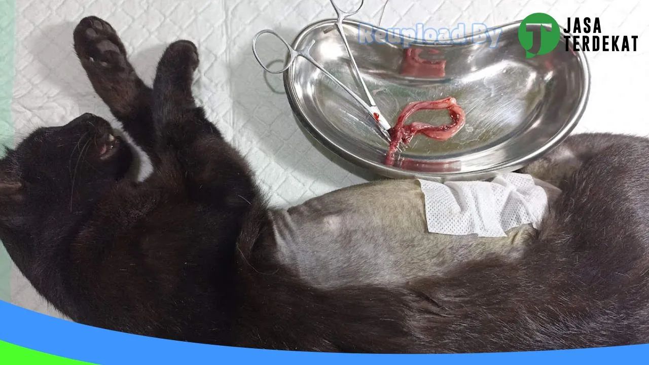 Gambar Dokter Hewan Muara Enim “VET ME CARE” di Muara Enim, Sumatera Selatan ke 2