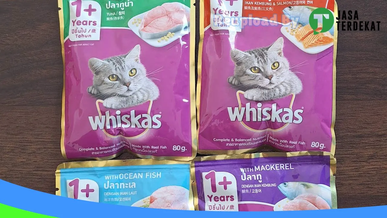 Gambar Arona Petshop di Gowa, Sulawesi Selatan ke 4