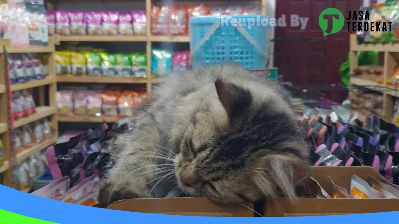 Gambar KIANARA PETSHOP di Malaka, Nusa Tenggara Timur ke 3