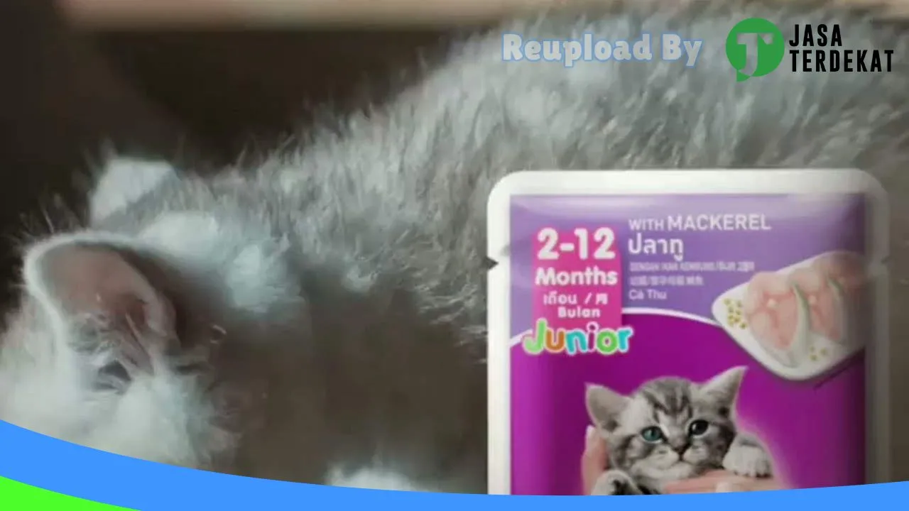 Gambar Olive Petshop Dok VIII di Jayapura, Papua ke 1