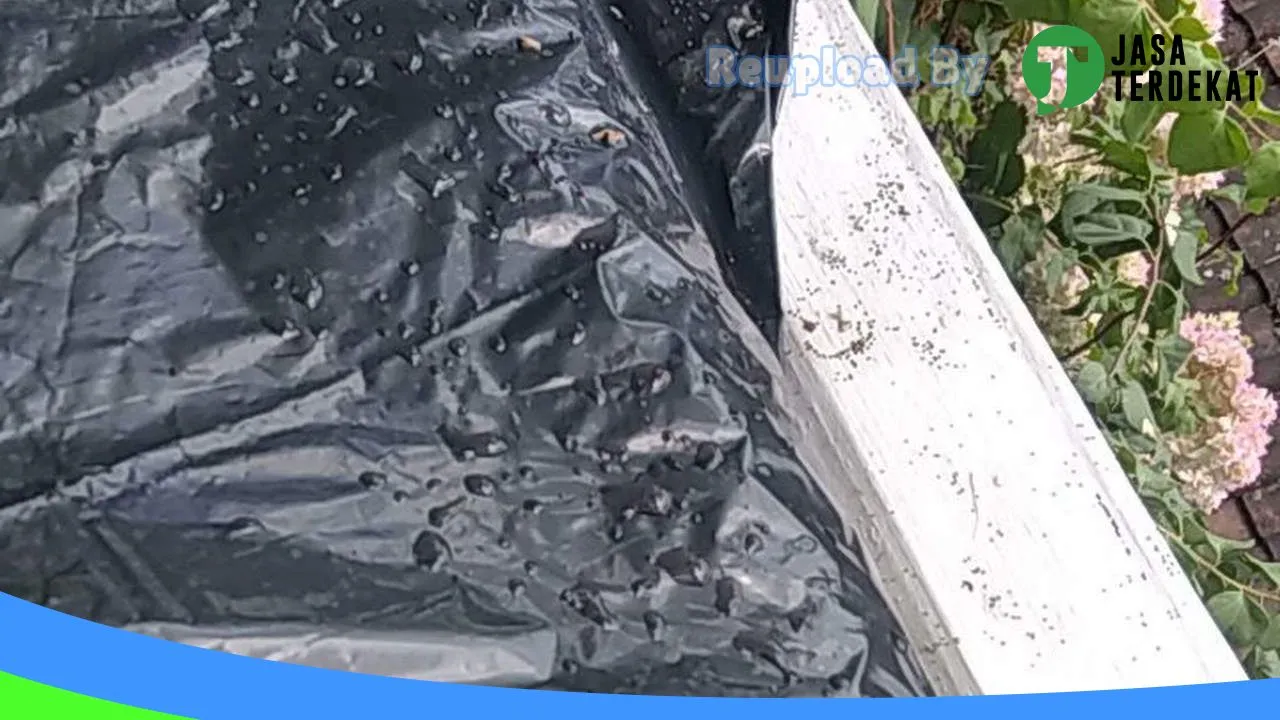 Gambar Anti Rayap Bali – Pest Control Tabanan di Tabanan, Bali ke 1