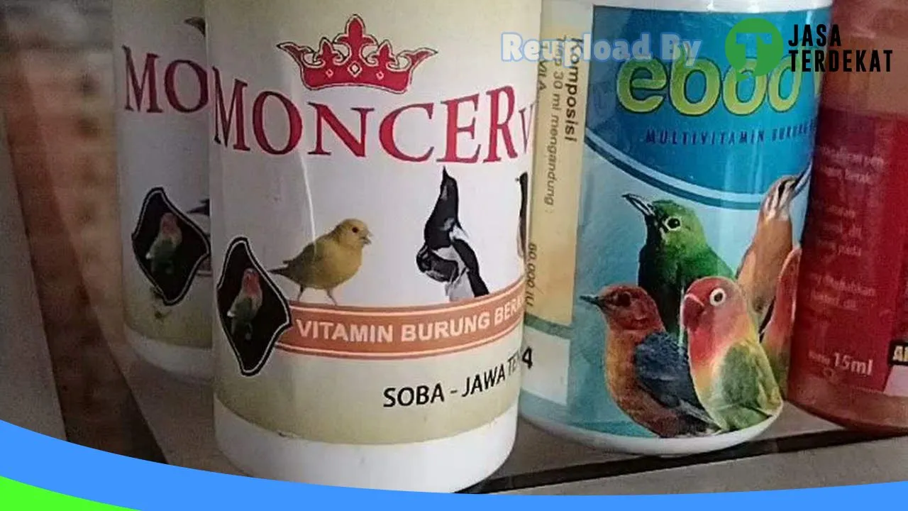 Gambar TOKO “Hanan Petshop” di Balangan, Kalimantan Selatan ke 1