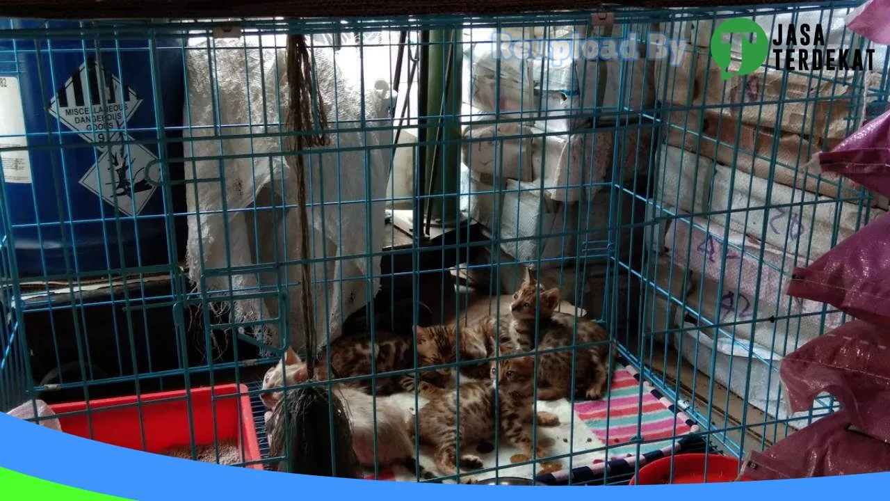 Gambar Halto Pet Shop Medan di Medan, Sumatera Utara ke 2