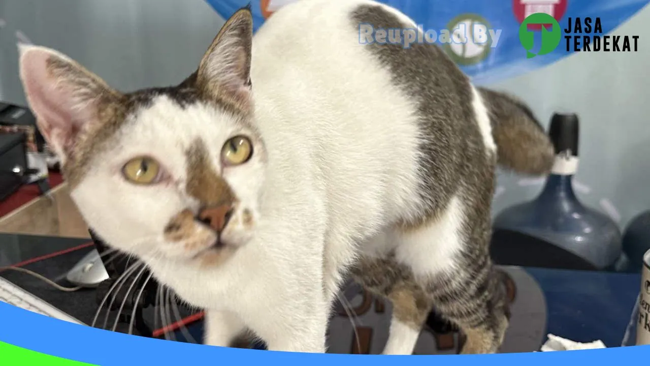 Gambar AMANDA PET SHOP (Food – Accessories – Grooming) di Malaka, Nusa Tenggara Timur ke 4