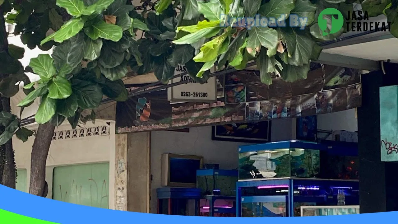 Gambar Jasa Mekar Aquarium di Cianjur, Jawa Barat ke 3