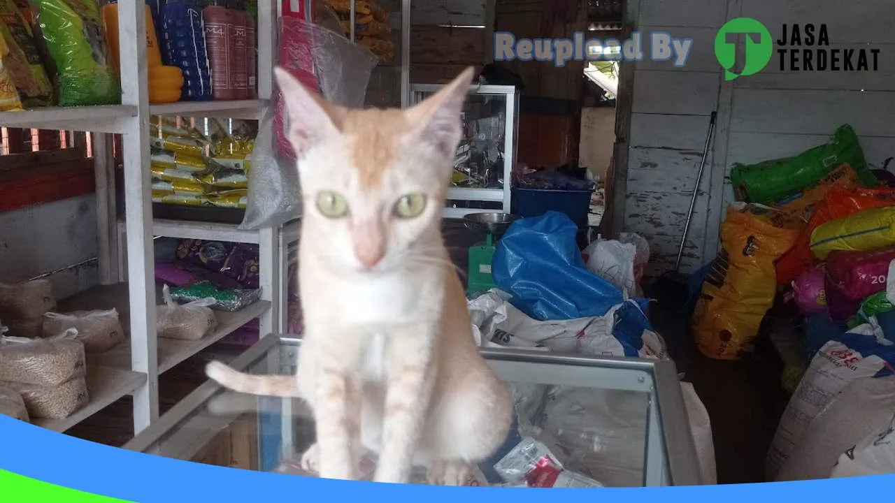Gambar Me-Wow Petshop di Parigi Moutong, Sulawesi Tengah ke 1