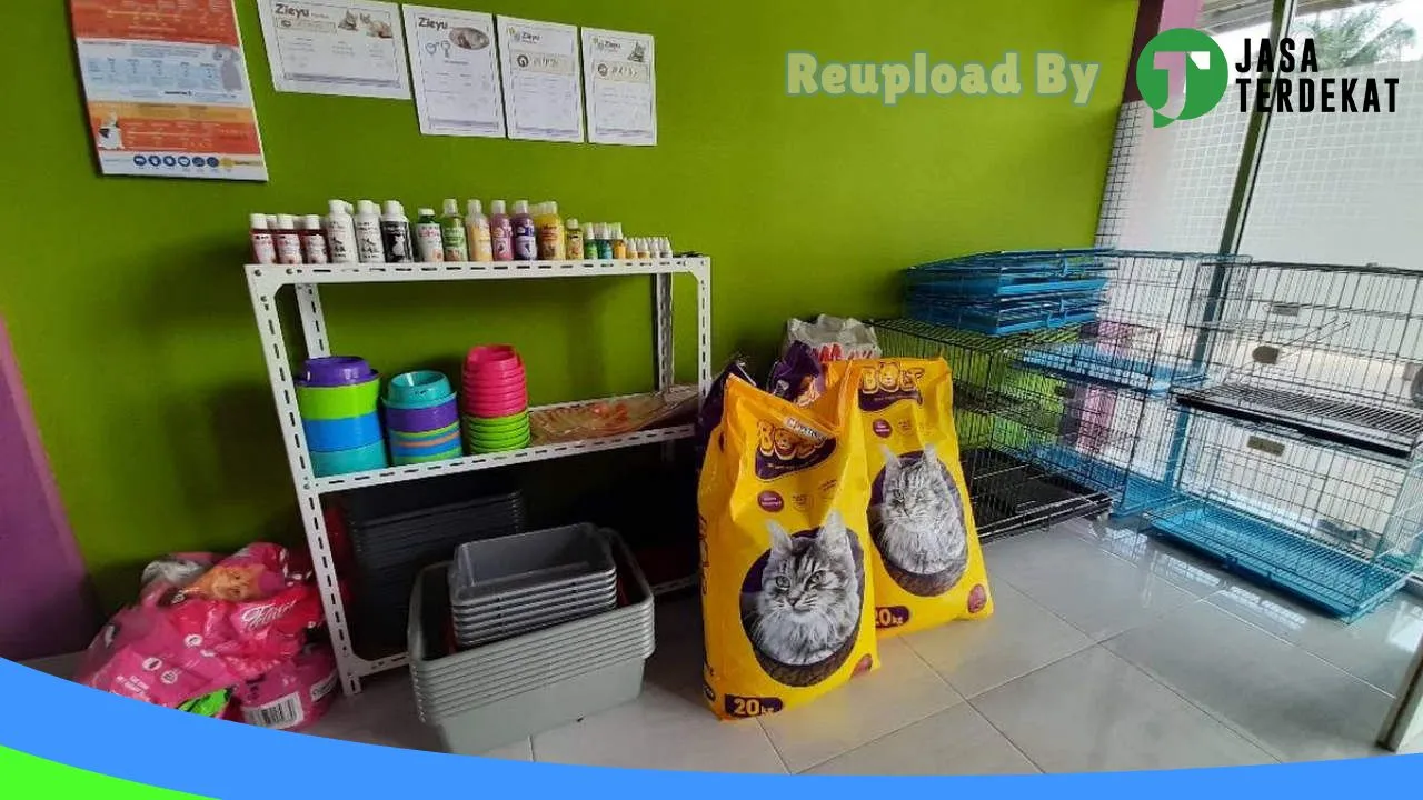 Gambar Zieyu Petshop & Praktek Dokter Hewan drh AYU HARISMAH di Muko-Muko, Bengkulu ke 1