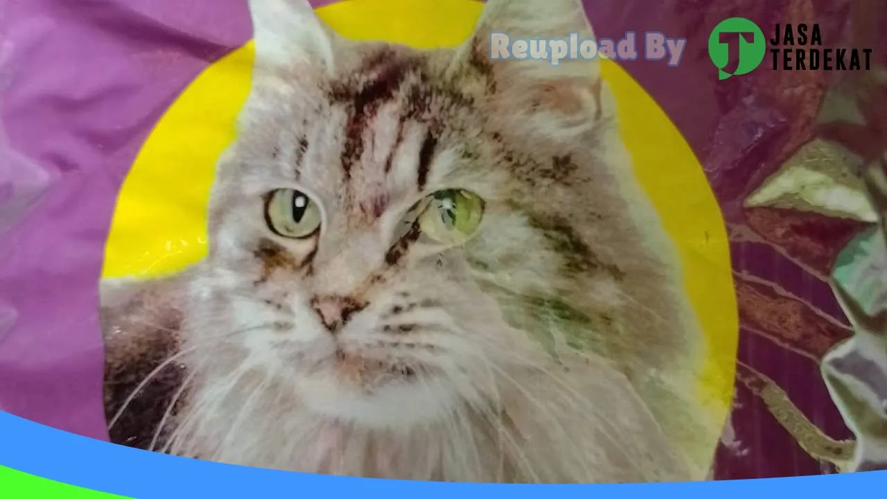 Gambar Rayhan petshop di Bone Bolango, Gorontalo ke 4