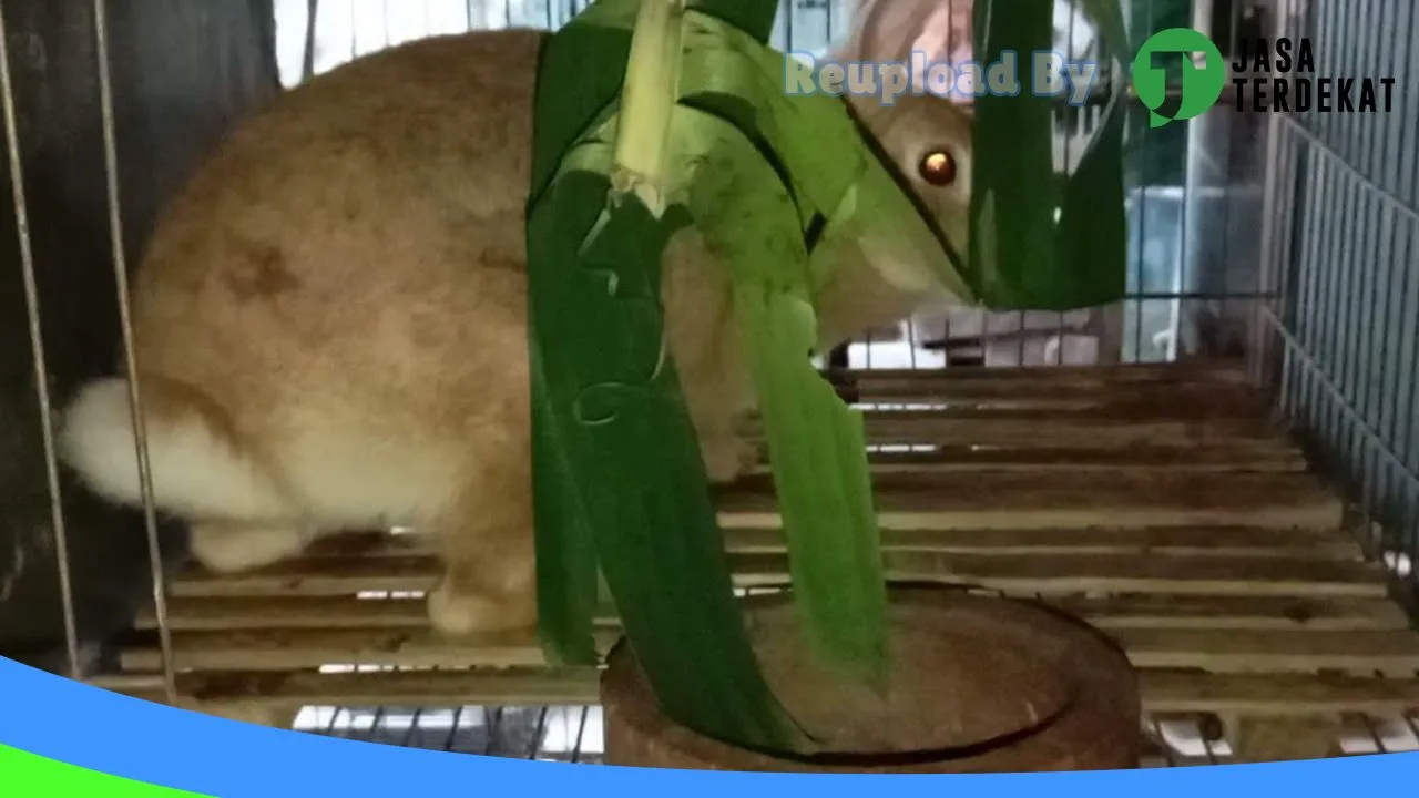 Gambar KELINCIKU PACITAN di Pacitan, Jawa Timur ke 5