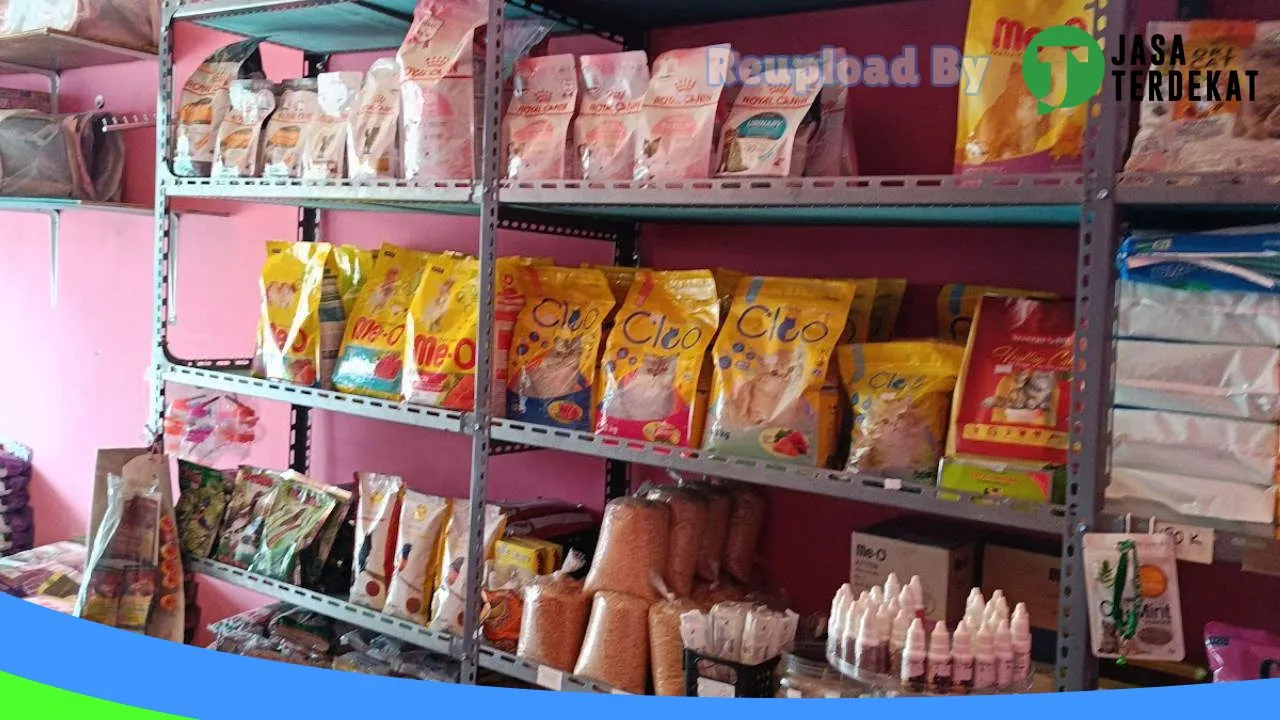 Gambar KIKI PETSHOP GISTING di Tanggamus, Lampung ke 2