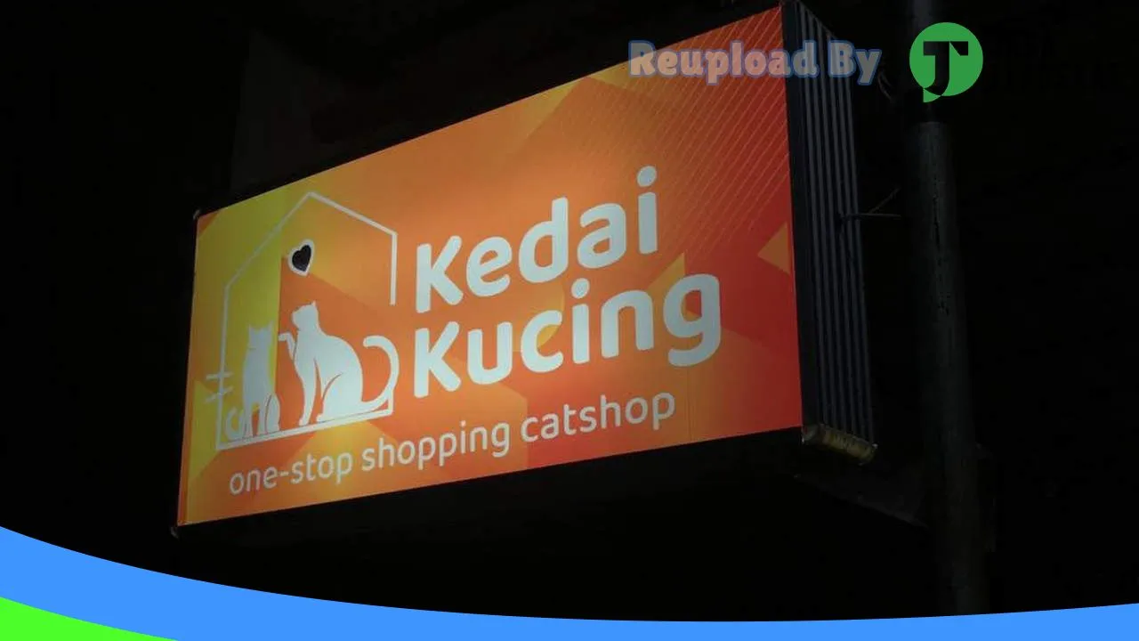 Gambar KEDAI KUCING PETSHOP di Aceh Barat, Aceh ke 2