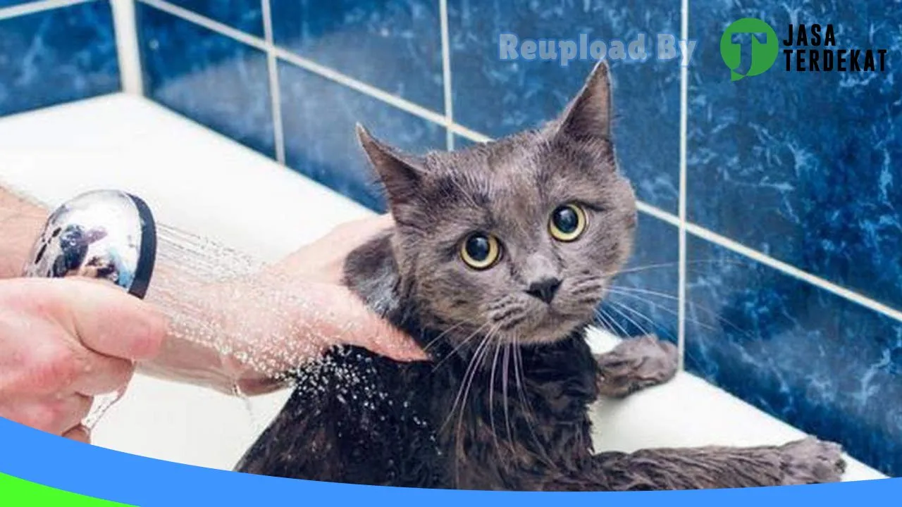 Gambar Kandang Kucing di Tanjungbalai, Sumatera Utara ke 2