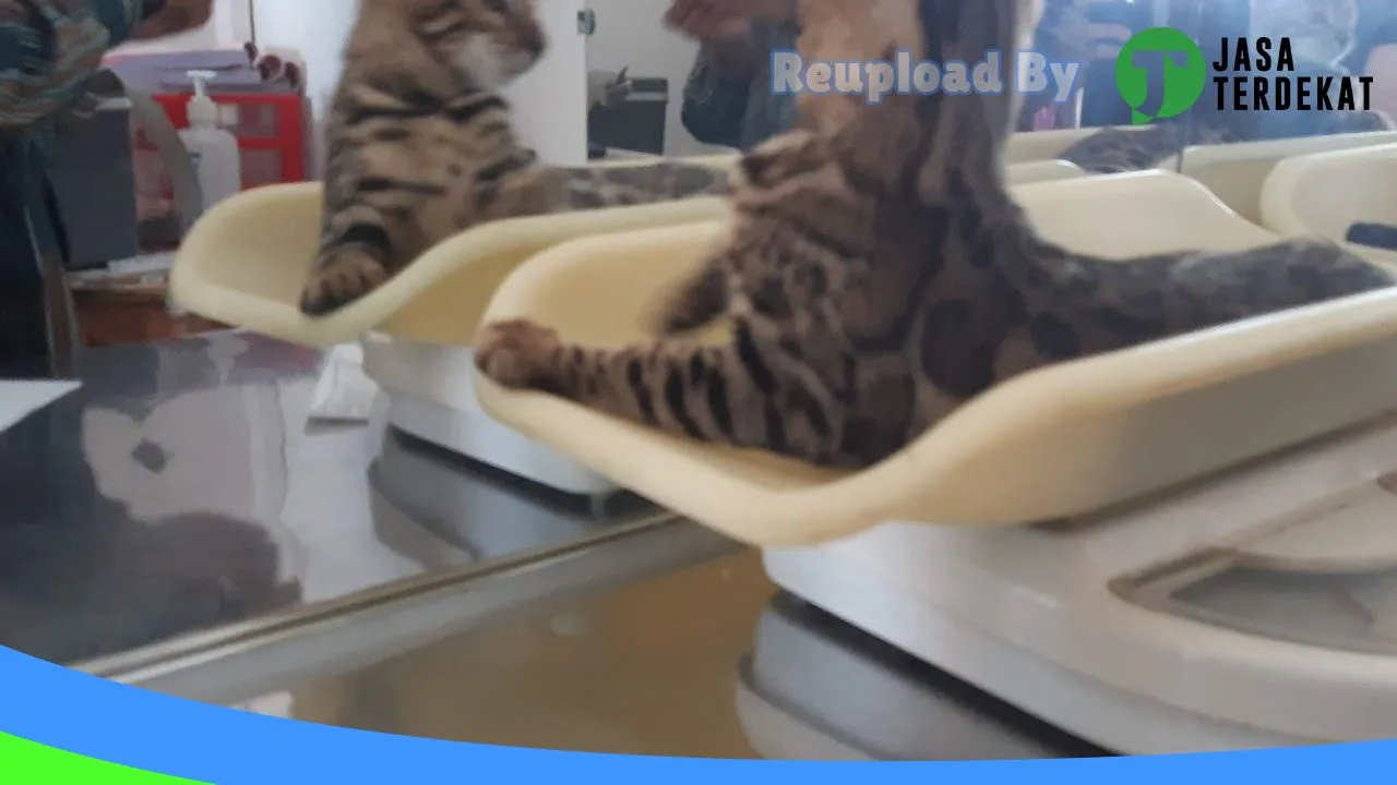 Gambar BINTANG SATWA Pamekasan di Pamekasan, Jawa Timur ke 3