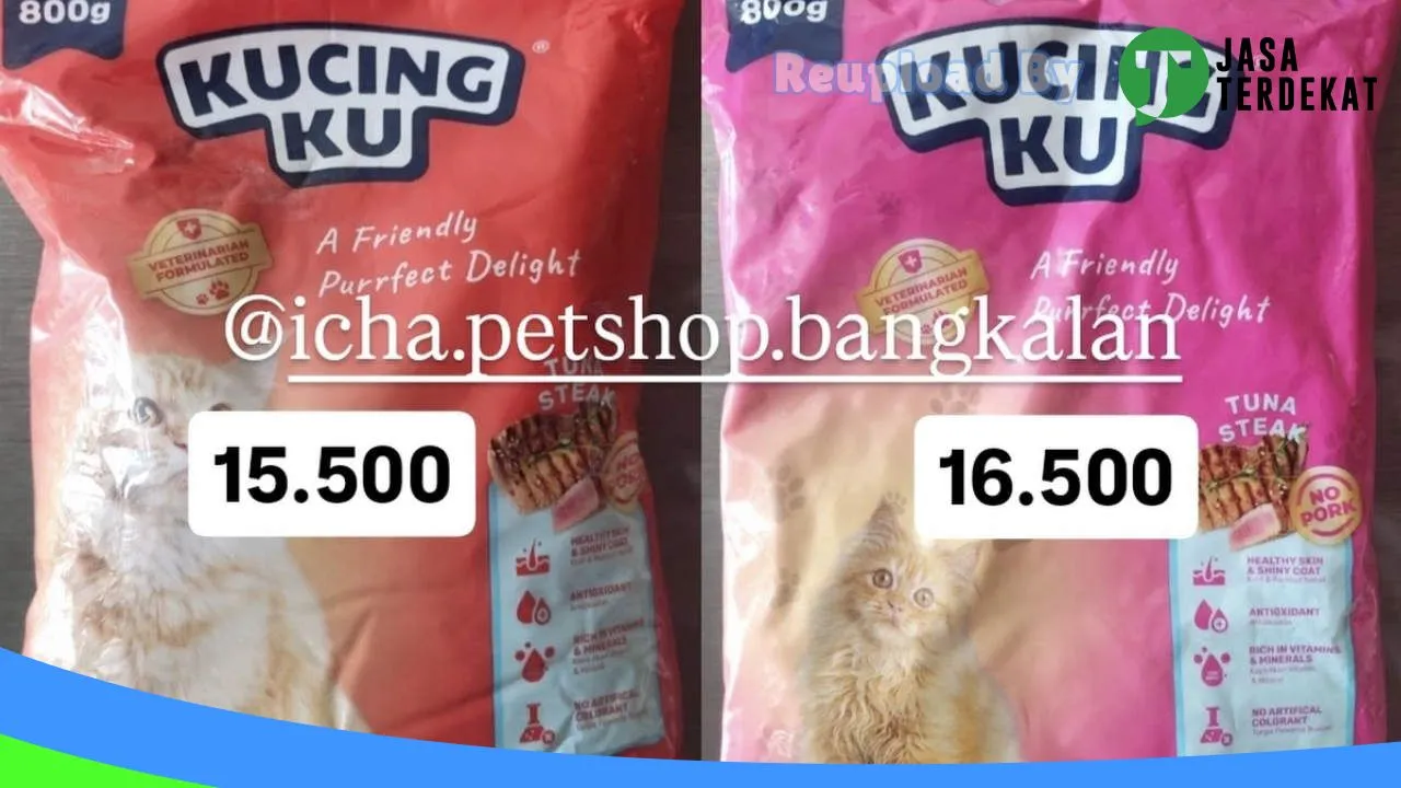 Gambar ICHA PETSHOP BANGKALAN di Bangkalan, Jawa Timur ke 2