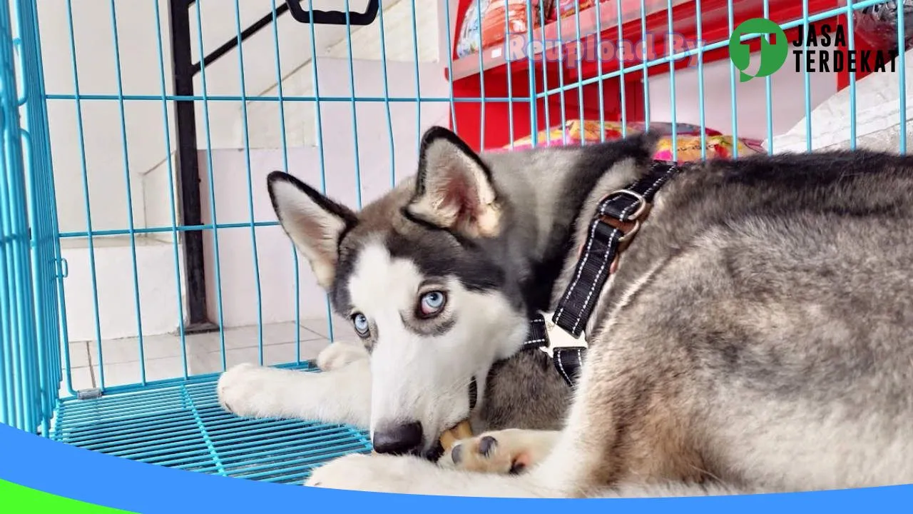 Gambar Naureen Petcare by Healthy Pet di Kota Madiun, Jawa Timur ke 3