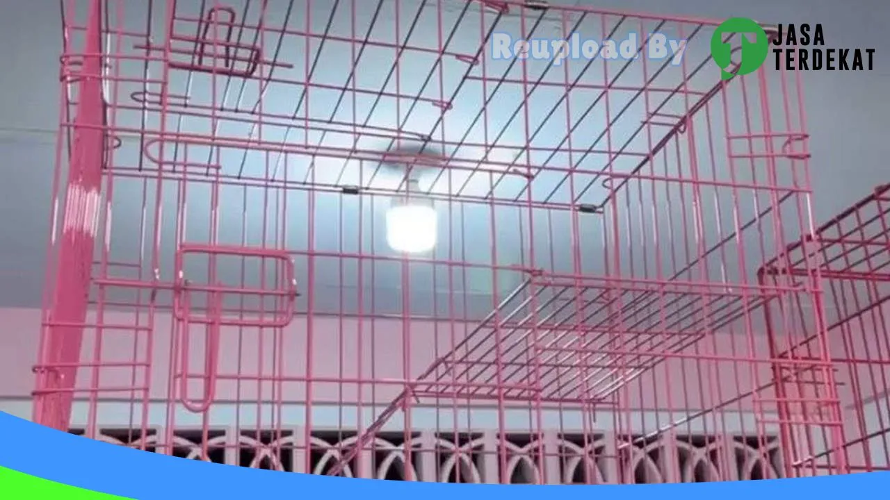 Gambar Miaw Pet Shop di Bintan, Kepulauan Riau ke 1