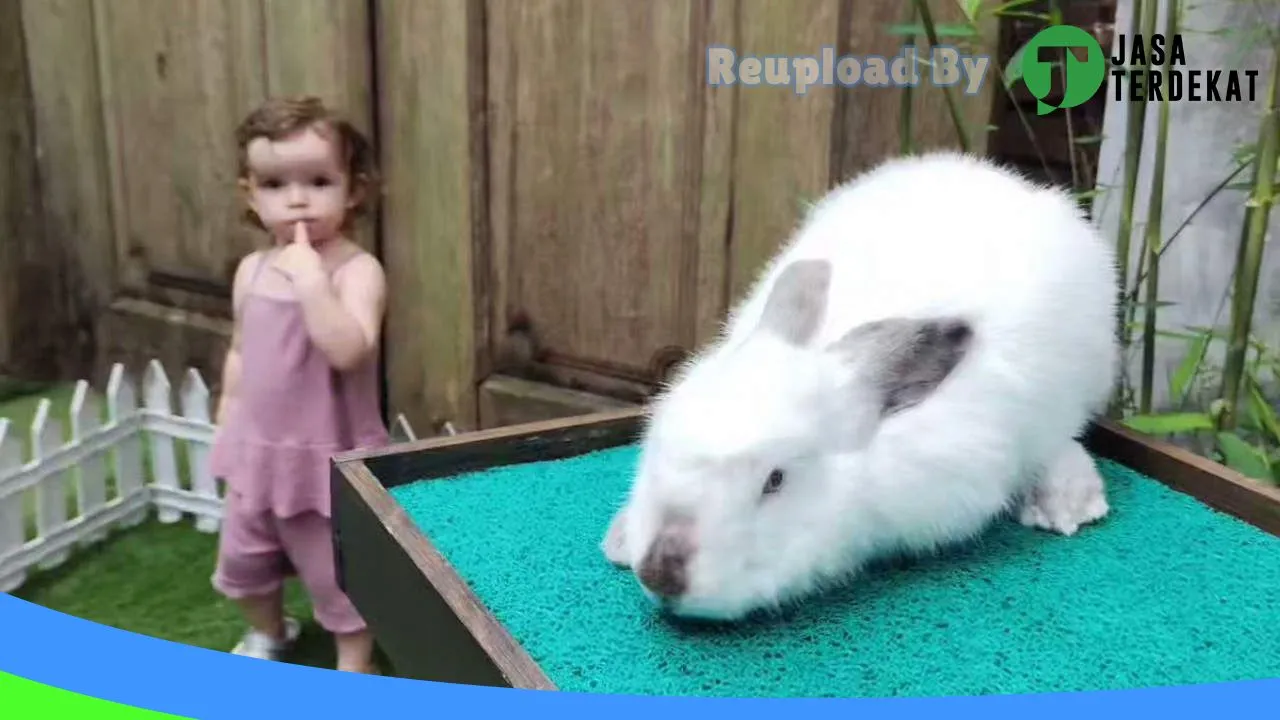 Gambar KIQ Pet Gallery di Gianyar, Bali ke 3