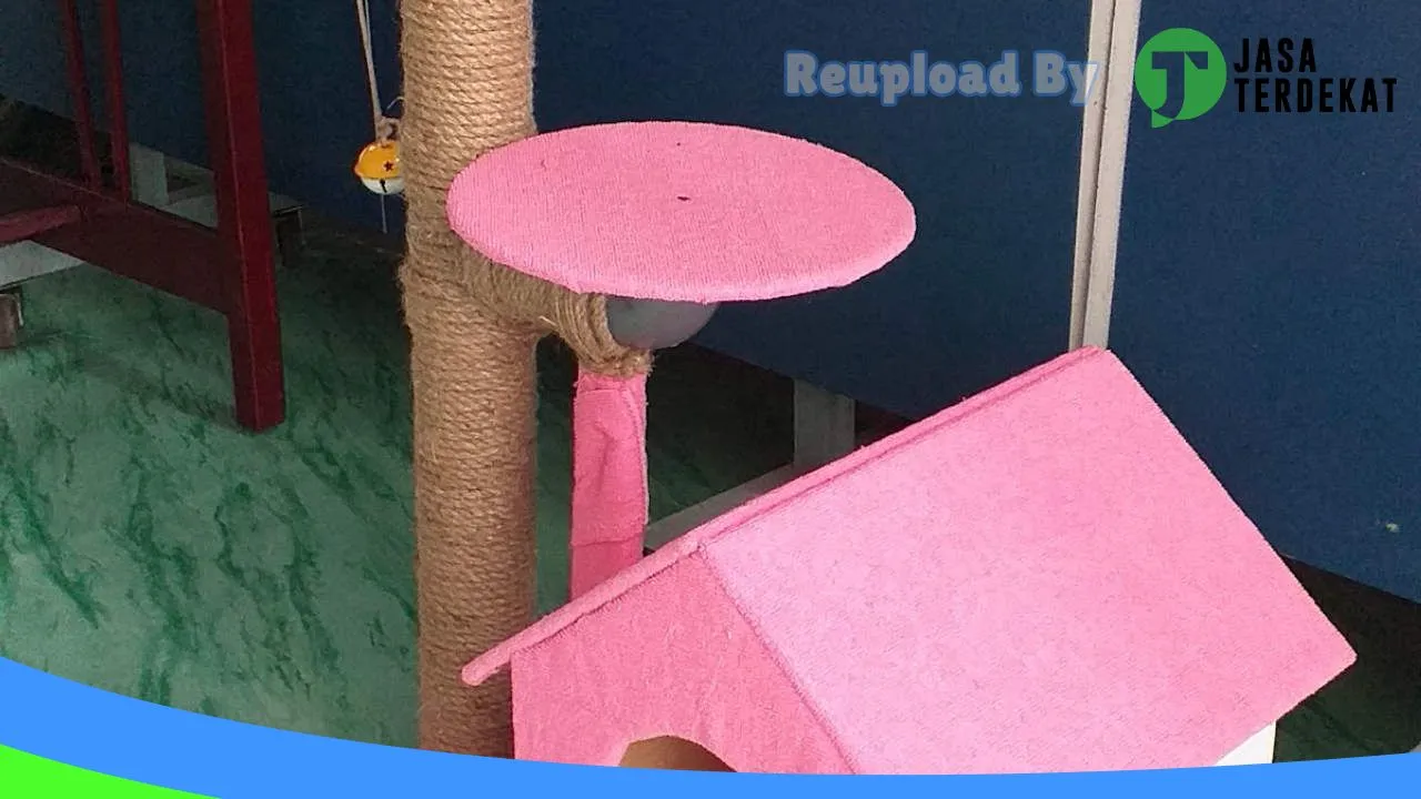 Gambar Cihan Pet Shop di Rejang Lebong, Bengkulu ke 3