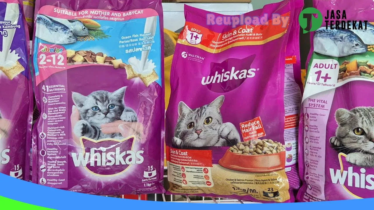 Gambar Mr Chiko Petshop Abepura di Jayapura, Papua ke 4