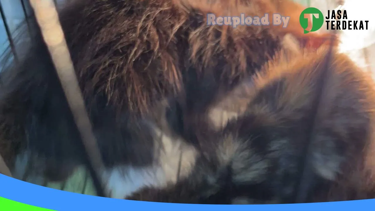 Gambar Dokter Hewan Muara Enim “VET ME CARE” di Muara Enim, Sumatera Selatan ke 1