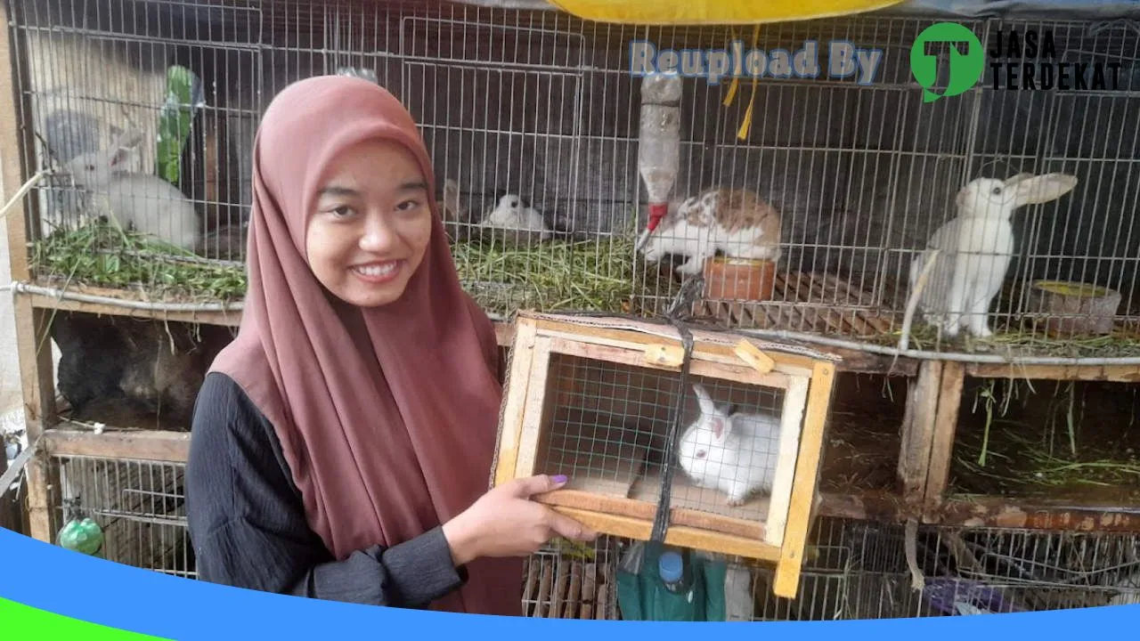 Gambar Jual Kelinci Pringsewu Lampung di Pringsewu, Lampung ke 2