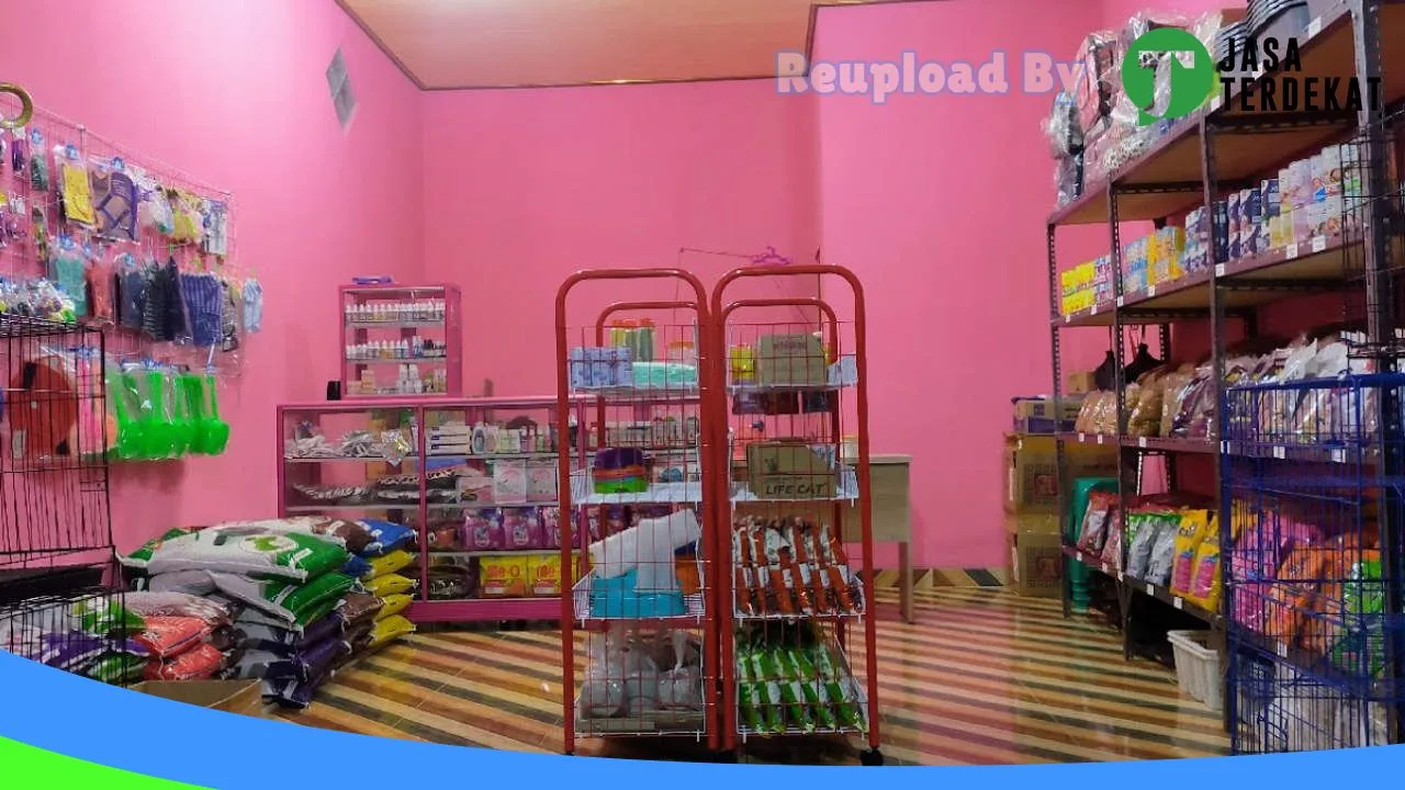 Gambar KIKI PETSHOP GISTING di Tanggamus, Lampung ke 1