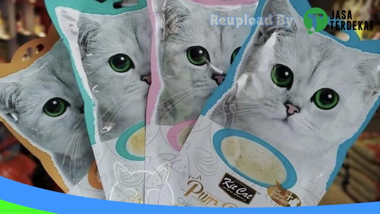 Gambar CAT ZONE PETSHOP di Rejang Lebong, Bengkulu ke 3