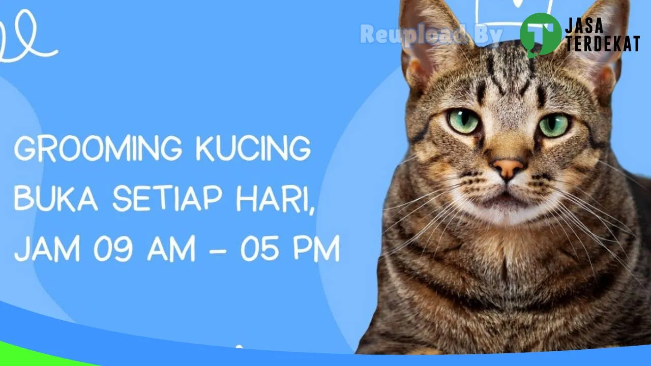 Gambar Zara Petshop Gorontalo di Gorontalo, Gorontalo ke 3