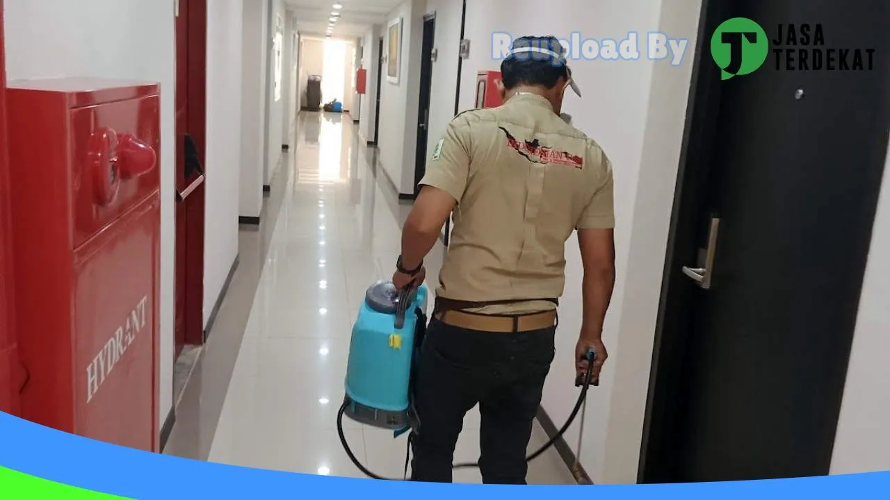 Gambar Jasa Anti Rayap, Pest Control, Basmi Tikus, Basmi Hama, Fogging Nyamuk – Nusantara Pest di Kota Palu, Sulawesi Tengah ke 4