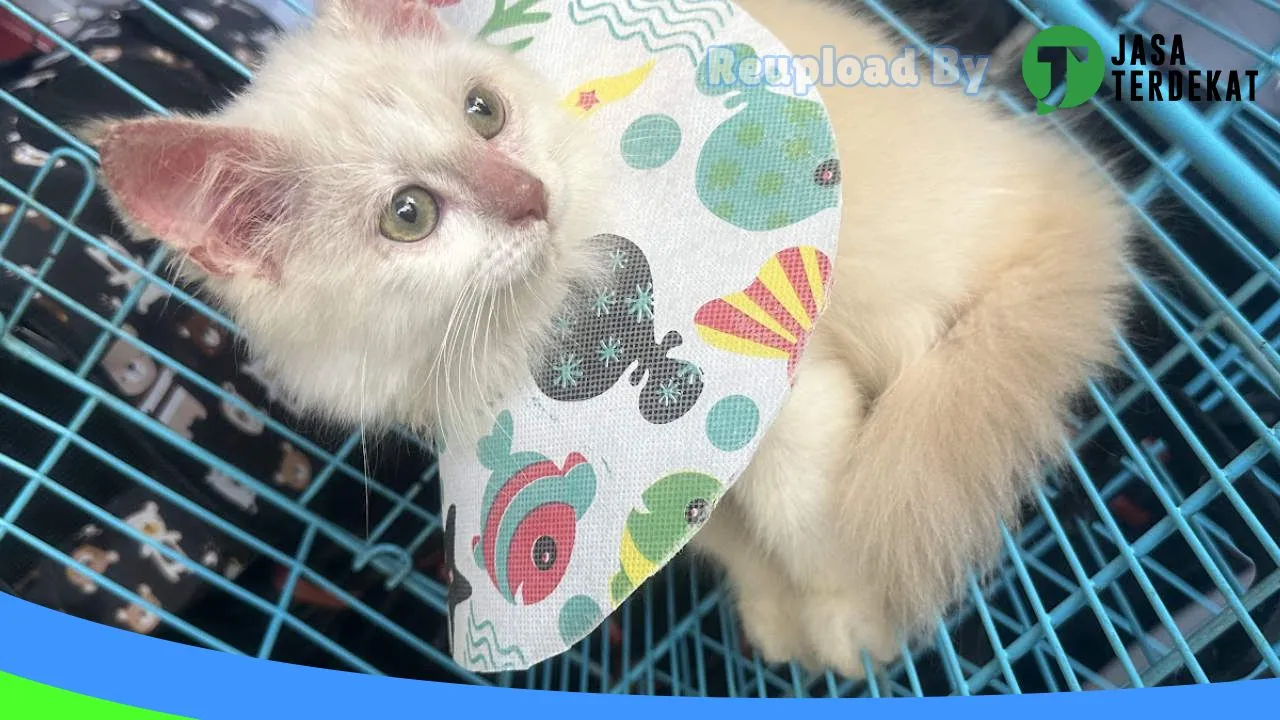 Gambar Eyi Petshop Raha di Muna, Sulawesi Tenggara ke 3