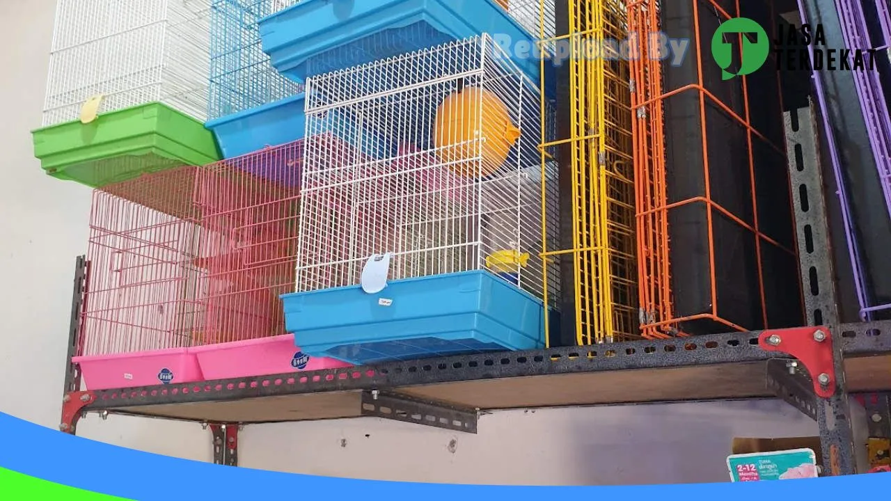 Gambar Rajawali Pet Shop Atambua di Belu, Nusa Tenggara Timur ke 2