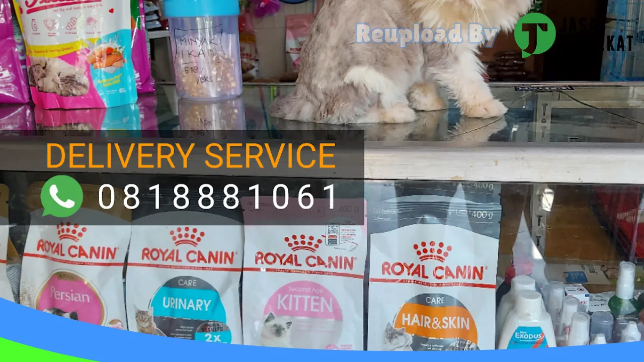 Gambar Bless Catshop di Cianjur, Jawa Barat ke 1