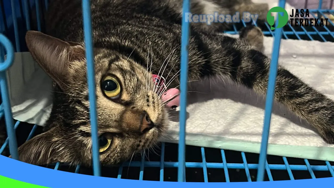 Gambar Ohana Vet Care (Praktik Dokter Hewan Muara Enim) di Muara Enim, Sumatera Selatan ke 1