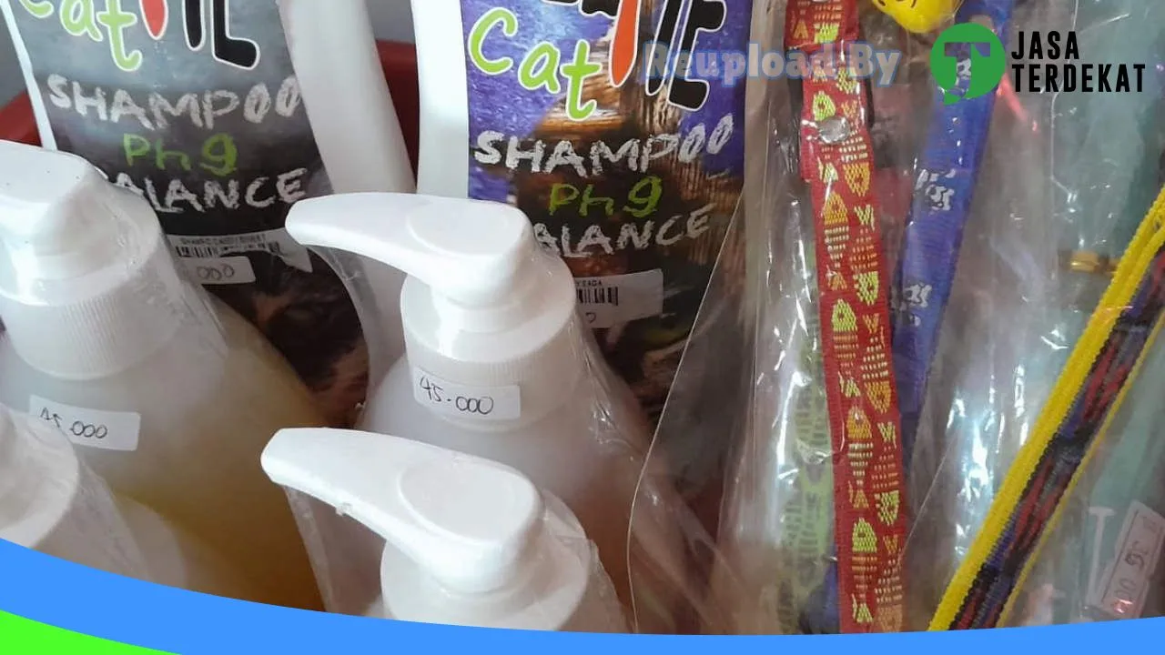 Gambar Sky(cat) PetShop di Kota Tidore Kepulauan, Maluku Utara ke 3