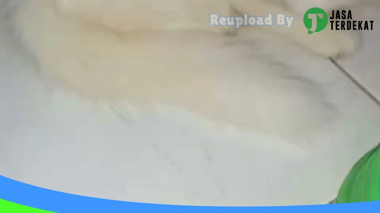 Gambar Omah Kucing Madiun di Kota Madiun, Jawa Timur ke 5